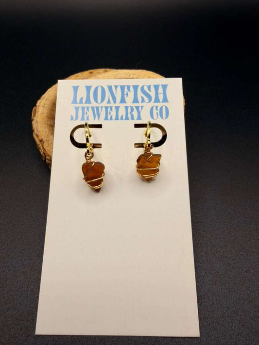 Brown and Gold Huggies