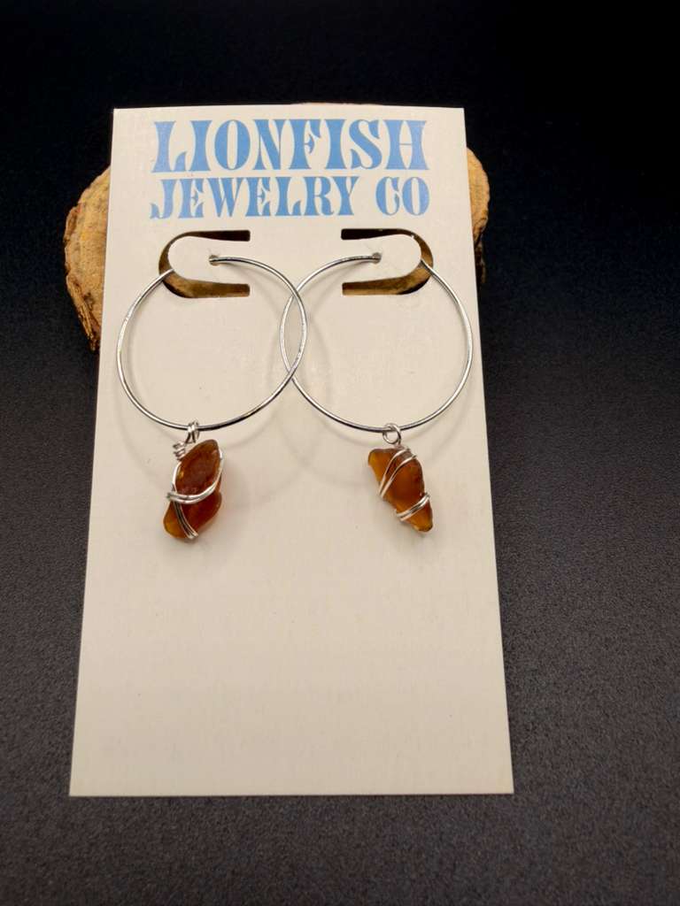 Large Brown and Silver Hoops